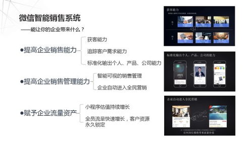 揚森網絡 專業的互聯網軟件技術開發服務商
