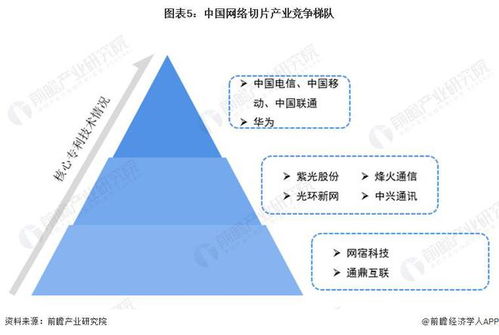 2023-2028年中國網(wǎng)絡(luò)切片行業(yè)發(fā)展分析與展望