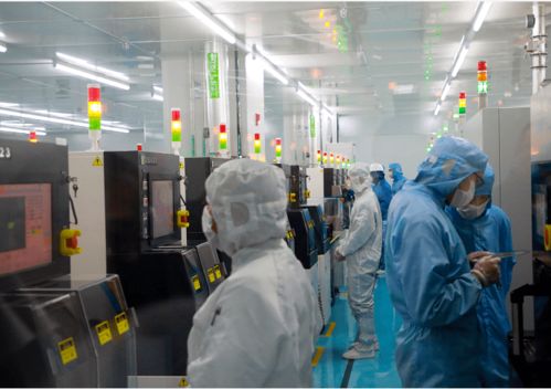 廈門生物醫藥與半導體產業雙翼齊飛，網絡技術賦能新發展